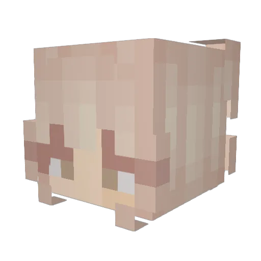 stretchthelimit Minecraft avatar head, 3D render