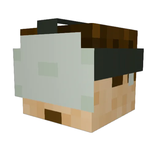 strider201 Minecraft avatar head, 3D render