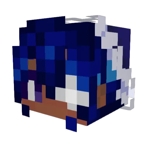 striderbeyours Minecraft avatar head, 3D render