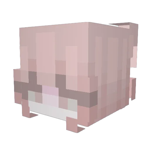 stringedcheesed Minecraft avatar head, 3D render