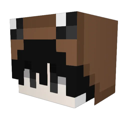 strokinitrn Minecraft avatar head, 3D render