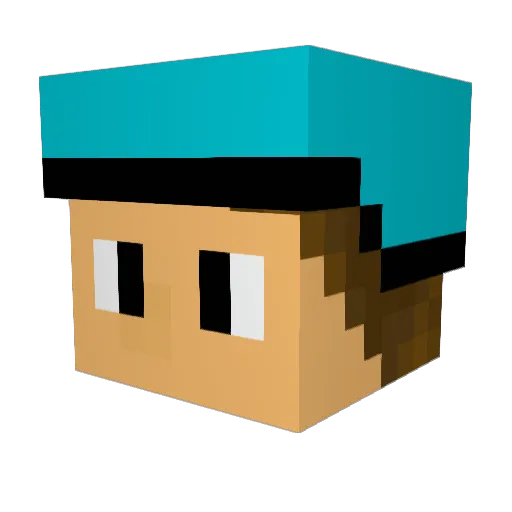 strom3060 Minecraft avatar head, 3D render