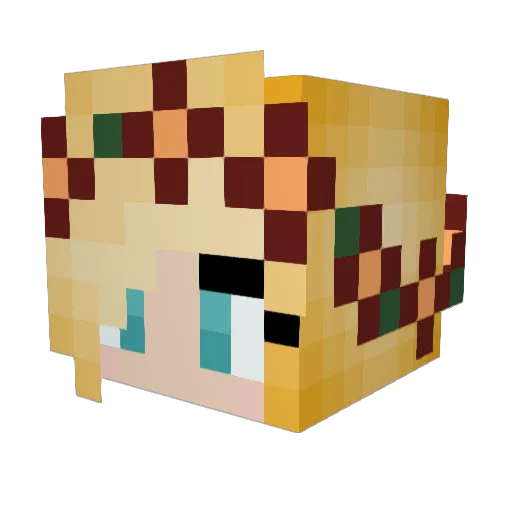 strongbug44 Minecraft avatar head, 3D render