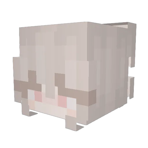 strwberrycowgrl Minecraft avatar head, 3D render