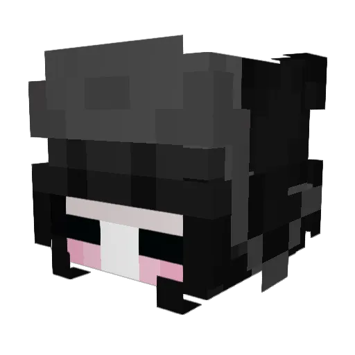 strwbrypocky Minecraft avatar head, 3D render