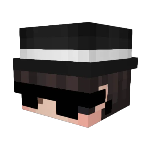 stspjl Minecraft avatar head, 3D render