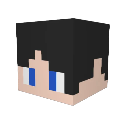 stst31000 Minecraft avatar head, 3D render