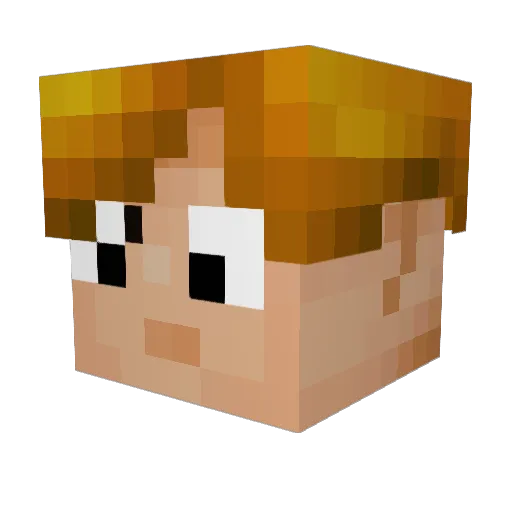 stu1984 Minecraft avatar head, 3D render