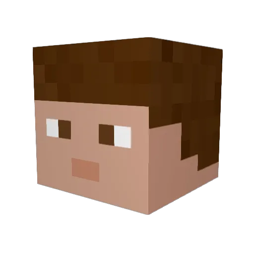 stuart384 Minecraft avatar head, 3D render