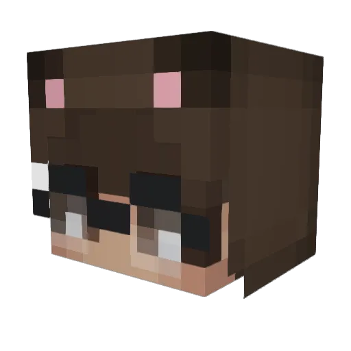 stubborn Minecraft avatar head, 3D render