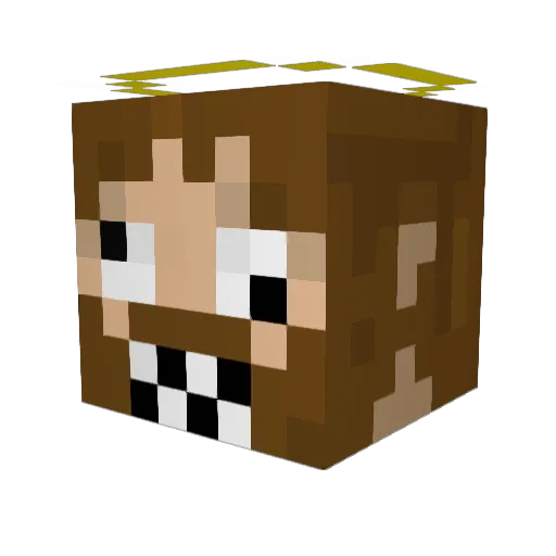 stuchy965 Minecraft avatar head, 3D render