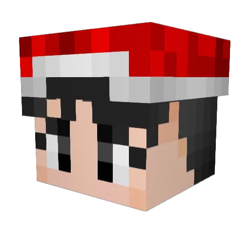 studentcouncil Minecraft avatar head, 3D render