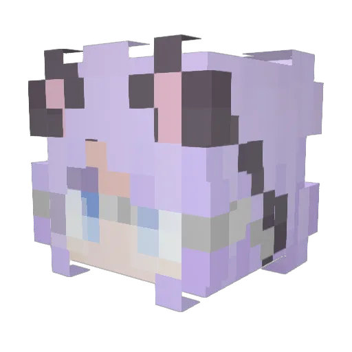 stuey138 Minecraft avatar head, 3D render
