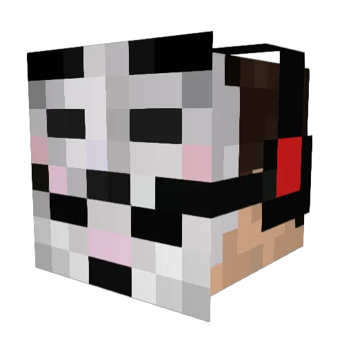 stufflord Minecraft avatar head, 3D render