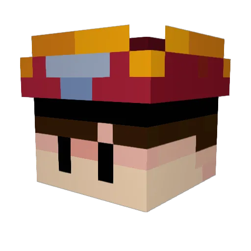 stuffwell2 Minecraft avatar head, 3D render