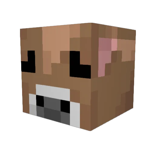 stuffy50 Minecraft avatar head, 3D render