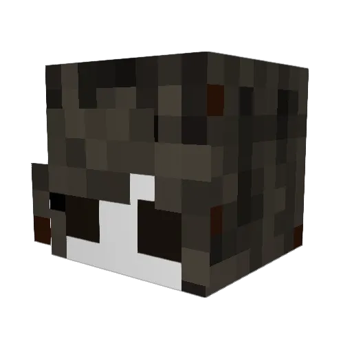 stuitusthegumbee Minecraft avatar head, 3D render