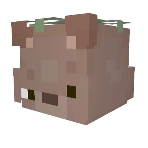 stunnedstarfish Minecraft avatar head, 3D render