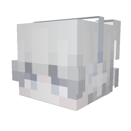 stuntman123412 Minecraft avatar head, 3D render