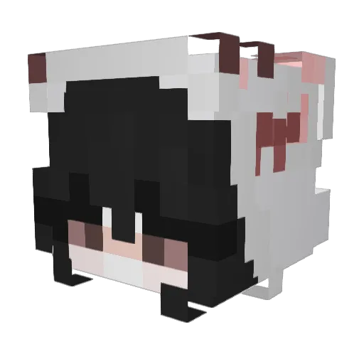 stup1d_lov_you Minecraft avatar head, 3D render