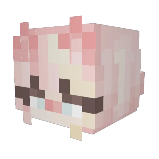 stupid_deer Minecraft avatar head, 3D render
