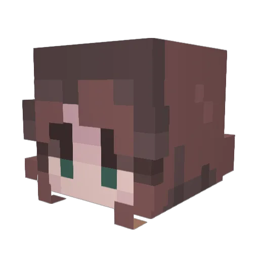 stupid_genius Minecraft avatar head, 3D render