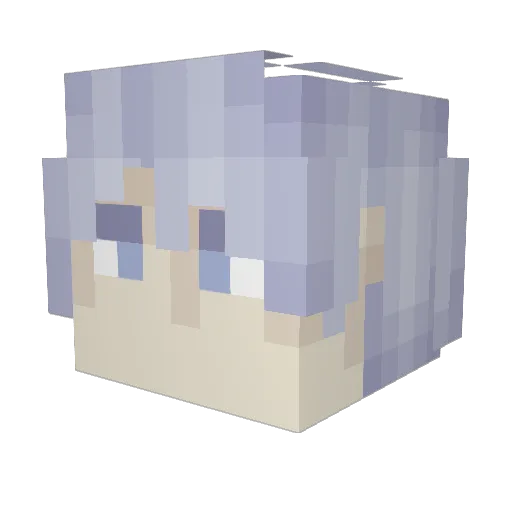 stupid_player Minecraft avatar head, 3D render