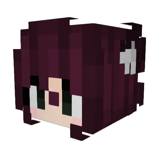 stupidcatlife Minecraft avatar head, 3D render