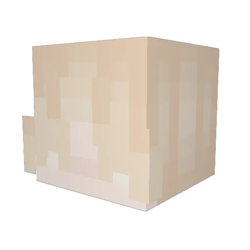 stupiddhead Minecraft avatar head, 3D render