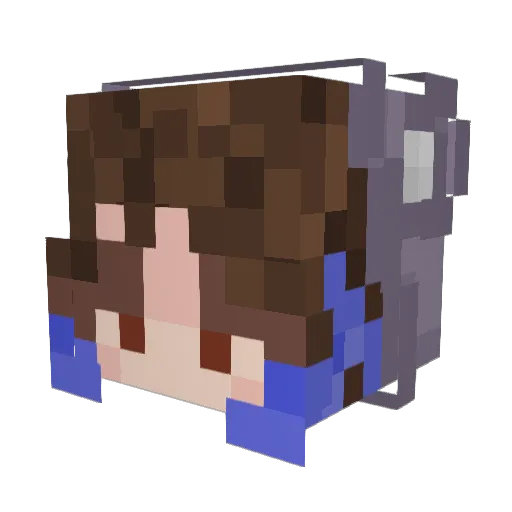 stupidfart69 Minecraft avatar head, 3D render
