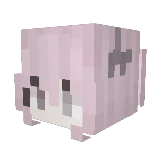 stupidfool319 Minecraft avatar head, 3D render