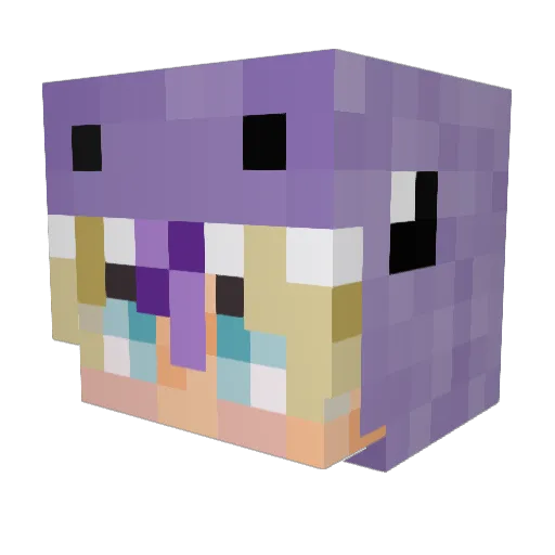 stupidfox_206TTK Minecraft avatar head, 3D render