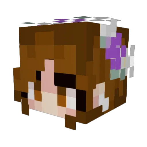 stupididiot123 Minecraft avatar head, 3D render