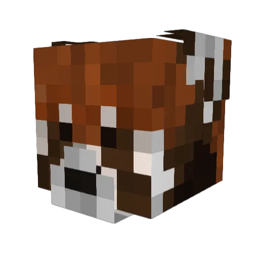 stupido_emstero Minecraft avatar head, 3D render