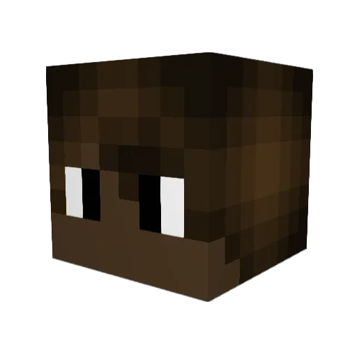 stupidsurya Minecraft avatar head, 3D render