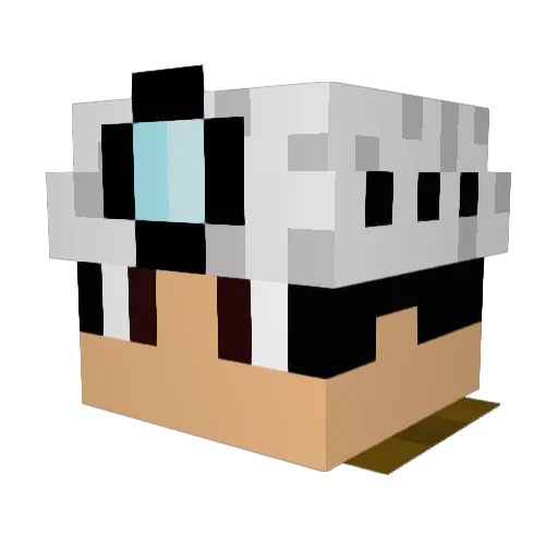 sturmkevin Minecraft avatar head, 3D render