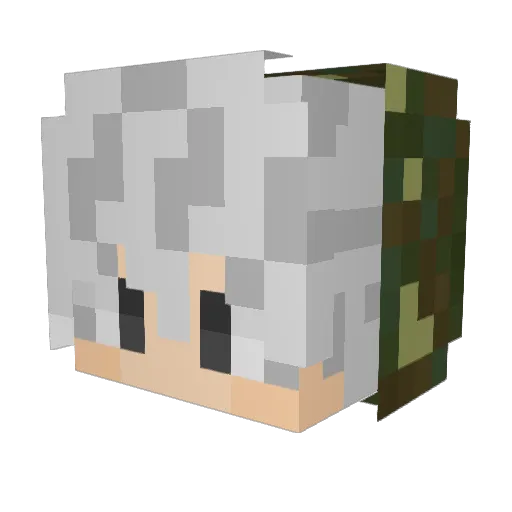 sturmranza_ Minecraft avatar head, 3D render