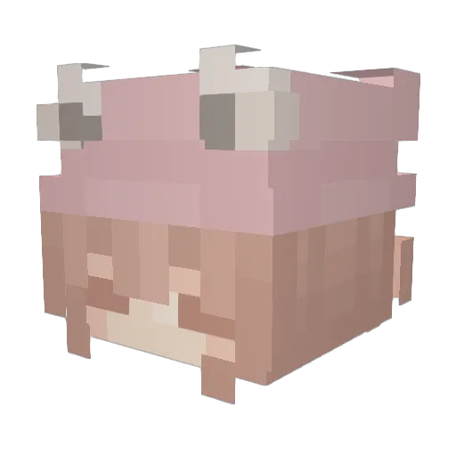 sturs Minecraft avatar head, 3D render