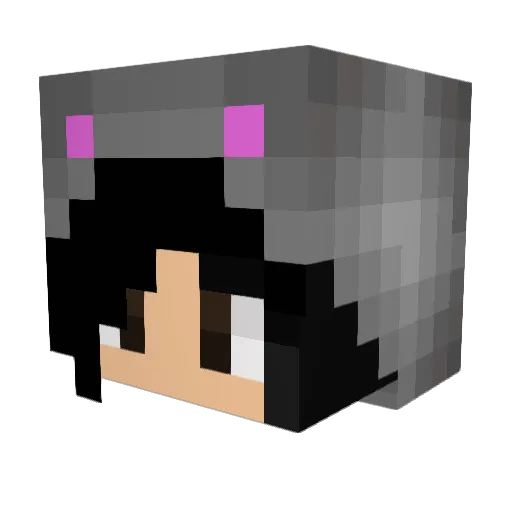 stworka Minecraft avatar head, 3D render