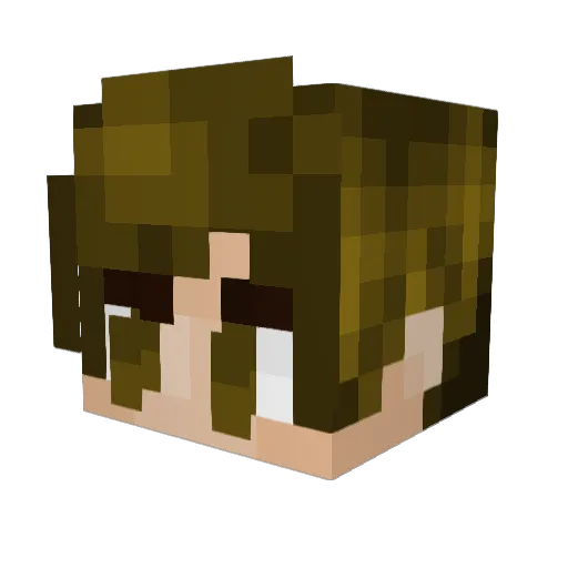 stx4ry Minecraft avatar head, 3D render