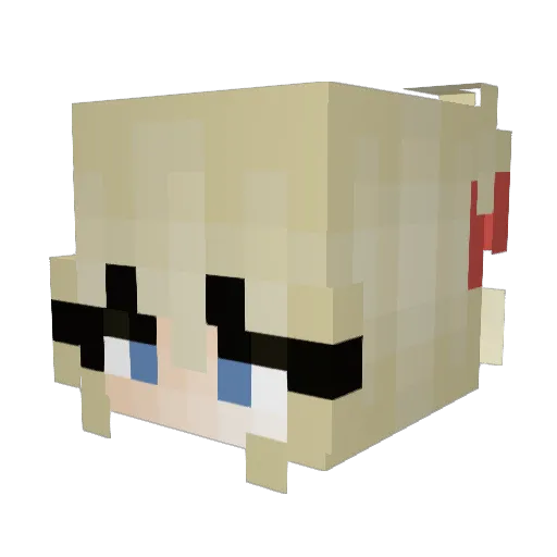 stxr_fly Minecraft avatar head, 3D render