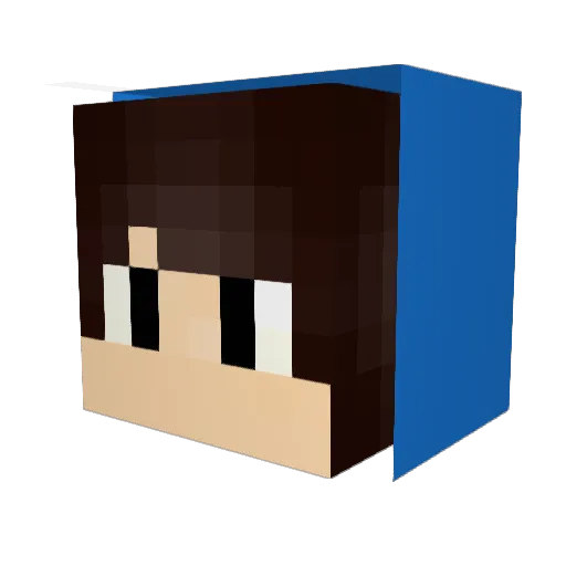 stybuh Minecraft avatar head, 3D render
