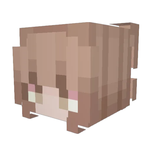 styelle Minecraft avatar head, 3D render