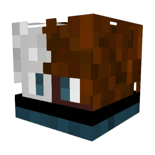 styler_hd06 Minecraft avatar head, 3D render