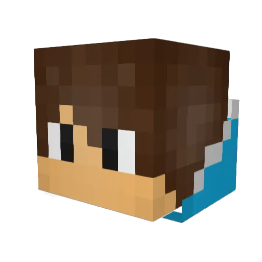 stylo556 Minecraft avatar head, 3D render