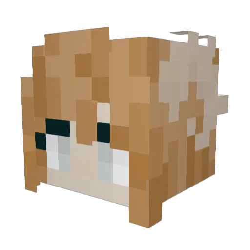 styyx99 Minecraft avatar head, 3D render