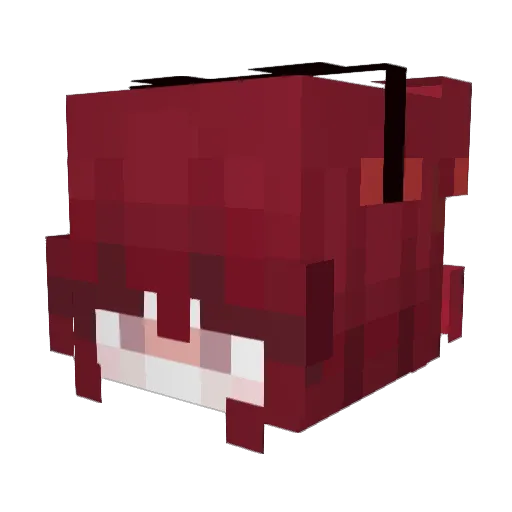 suCcinOnIt Minecraft avatar head, 3D render