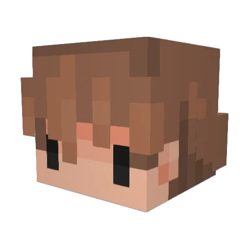 suNNNNbad Minecraft avatar head, 3D render