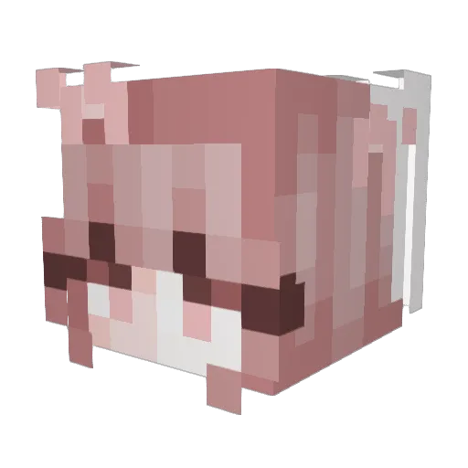 su__yeon Minecraft avatar head, 3D render