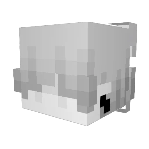 su_chh Minecraft avatar head, 3D render